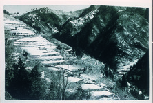 男山集落急傾斜地