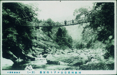 阿波国祖谷山かずら橋実景ー４