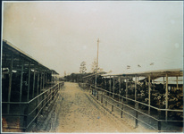 江川遊園　花の展覧会