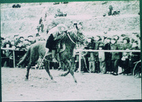 阿波の古式打毬競技会　穴吹高校にて