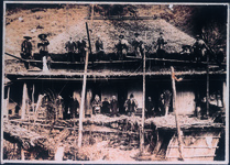 屋根蕗風景　木屋平村麻衣の蔭山宅