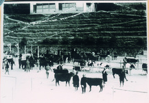 端山村農協文化祭