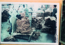 葉煙草収納風景