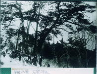 半田八景　石堂神社