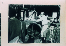 半田町下竹での楮蒸し（半田町は楮の産地）