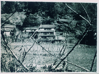 半田町　桑の木と家並み