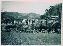 半田町　桑の木と家並み