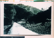 半田町の集落風景