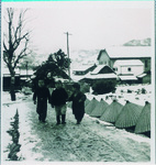 雪の日のひとこま