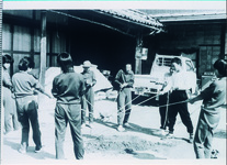 いのこ（やらせ？）