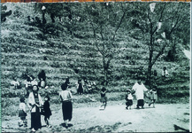 脇町公園　秋葉神社の相撲場（旧三月節句の遊山）