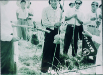 ノウサギ　剣山