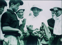 ノウサギ　剣山