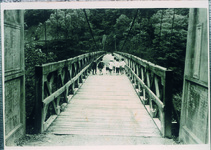 吊り橋を渡って通う園児