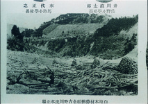 白地木材労働組合吉野川流水止場