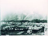 池田町・専売局全景