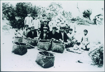 農作物の取り入れ