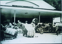 阿波タバコの出荷風景（換金作物として井内地区を中心に113ヘクタールを耕作している）