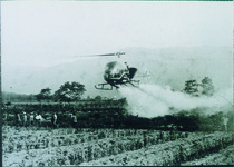 桑いもち病防除のためのヘリコプターによる薬剤散布