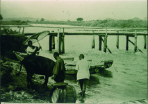 勝浦川の江田橋の東岸