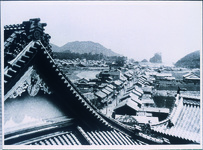 薬王寺から見た日和佐の風景