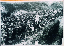 坂州　小学生のたばこの栽培実習　高山平付近