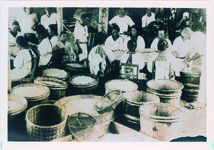 大里の砂丘　らっきょの出荷