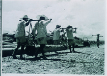 流木貯木場（製材所）