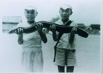 巨大ウナギ　農業によって母川のウナギが大量に死んだ時期があった