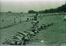 小松島小学校　水泳指導