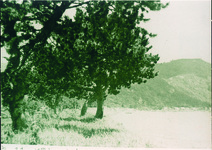 藍場の浜から見た元根井