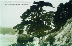 微波に揺らぐ奇岩御多福岩と老松