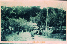 阿波岩脇公園花のトンネル