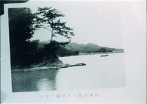 橘寒小路より橘湾を望む