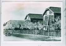 旧制富岡中学校　桜咲く母校