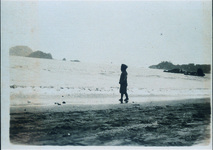 淡島海岸