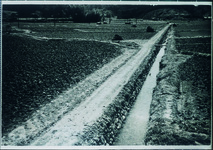 鳥居前　廿枝農道新設　荷車道巾メートル