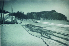 １－８月　阿南市淡島海岸にて