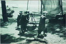 １－８月　阿南市淡島海岸にて