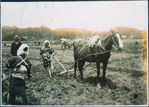 婦人農耕競犂会