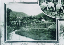 田植え