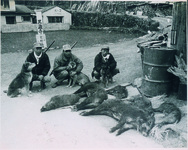 高城山山麓でしとめられたいのしし