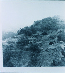 中谷（小見野々）