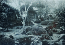 青木邸宅　庭園