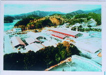 栽培漁業センター