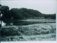 浅川　加島　鍛冶屋湾