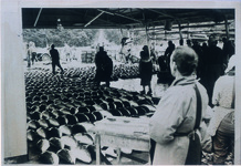 ブリの大敷網漁　ブリの大漁