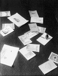 「学校と家庭」副読本
