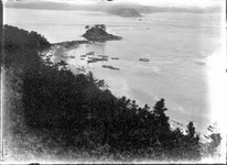 海岸
