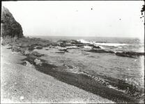 海岸